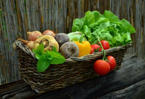 Pour apaiser sa relation à son alimentation et retrouver le plaisir de manger avec une coach en hygiène de vie à Dijon